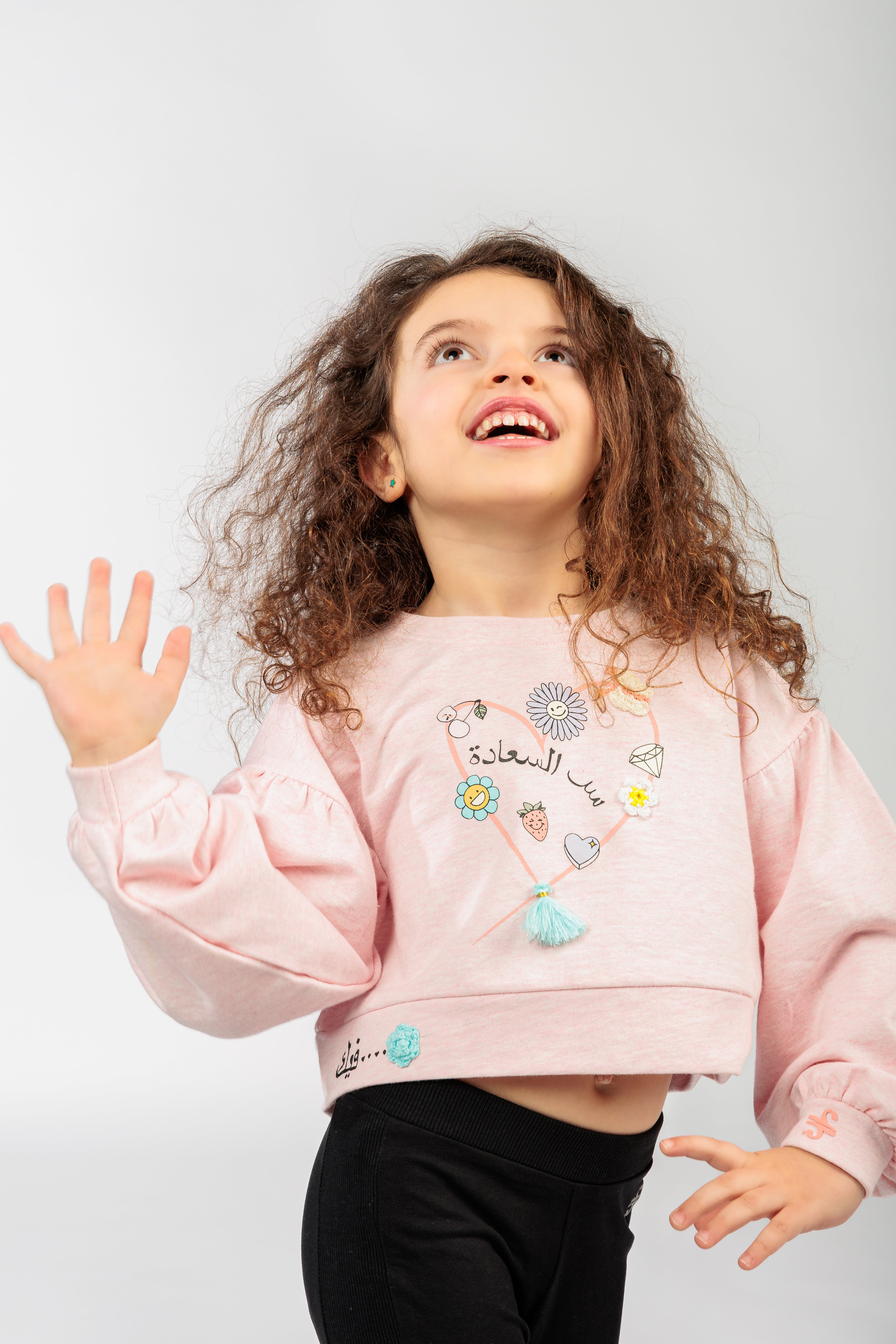 Ser Essaada Cropped Sweater